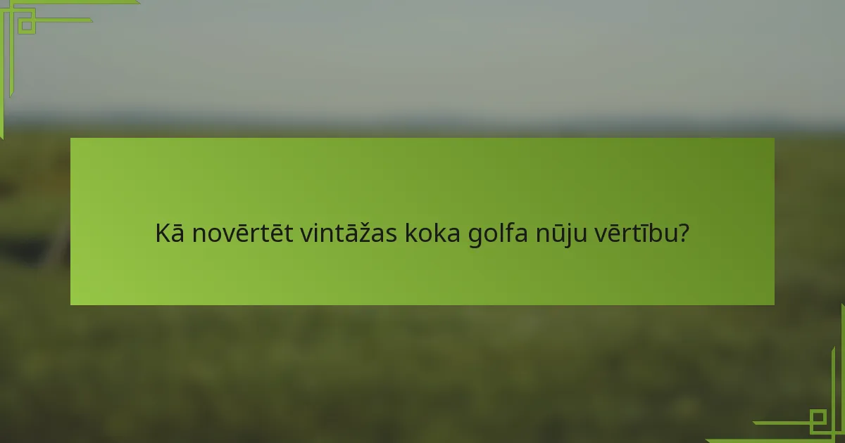 Kā novērtēt vintāžas koka golfa nūju vērtību?