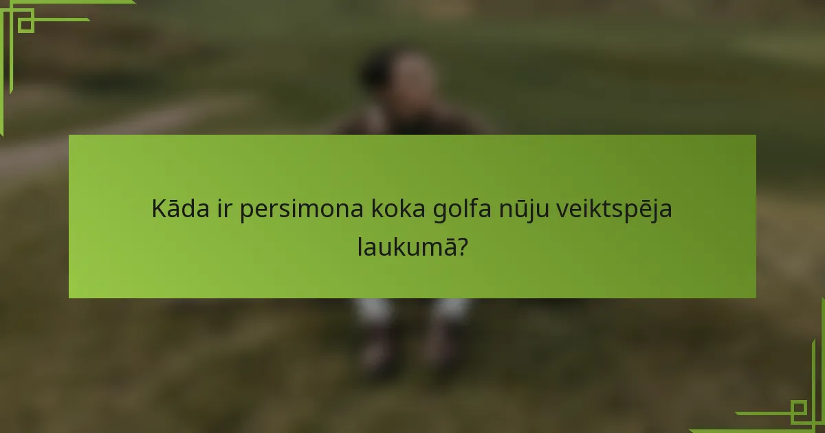 Kāda ir persimona koka golfa nūju veiktspēja laukumā?