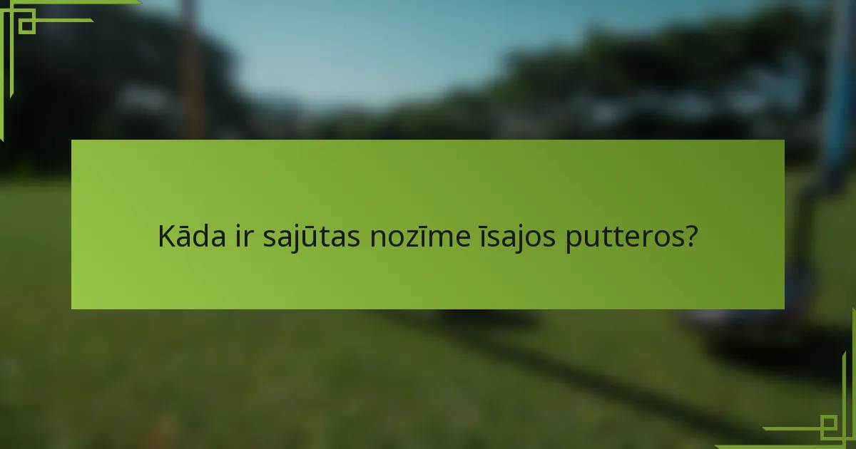 Kāda ir sajūtas nozīme īsajos putteros?
