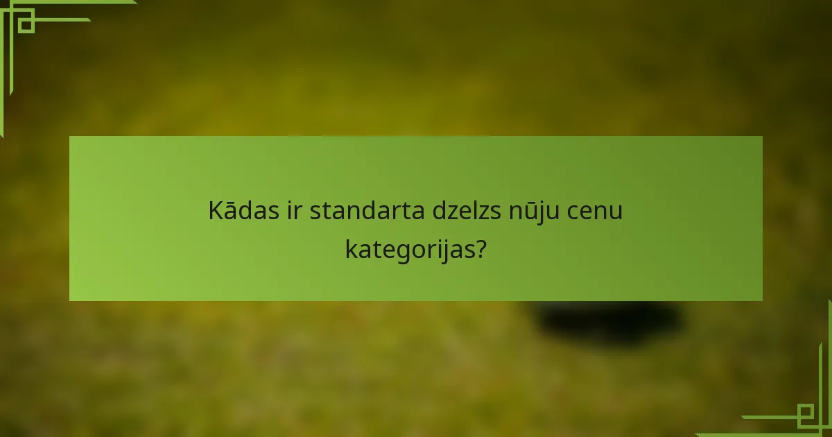 Kādas ir standarta dzelzs nūju cenu kategorijas?