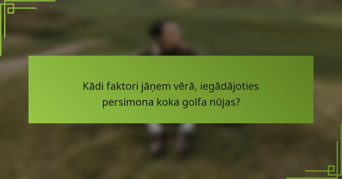 Kādi faktori jāņem vērā, iegādājoties persimona koka golfa nūjas?