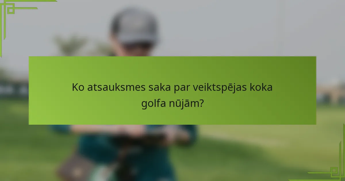 Ko atsauksmes saka par veiktspējas koka golfa nūjām?