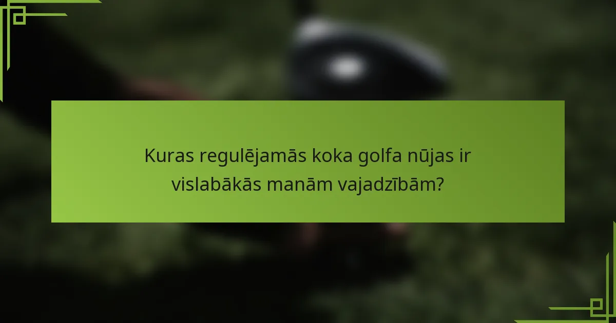 Kuras regulējamās koka golfa nūjas ir vislabākās manām vajadzībām?