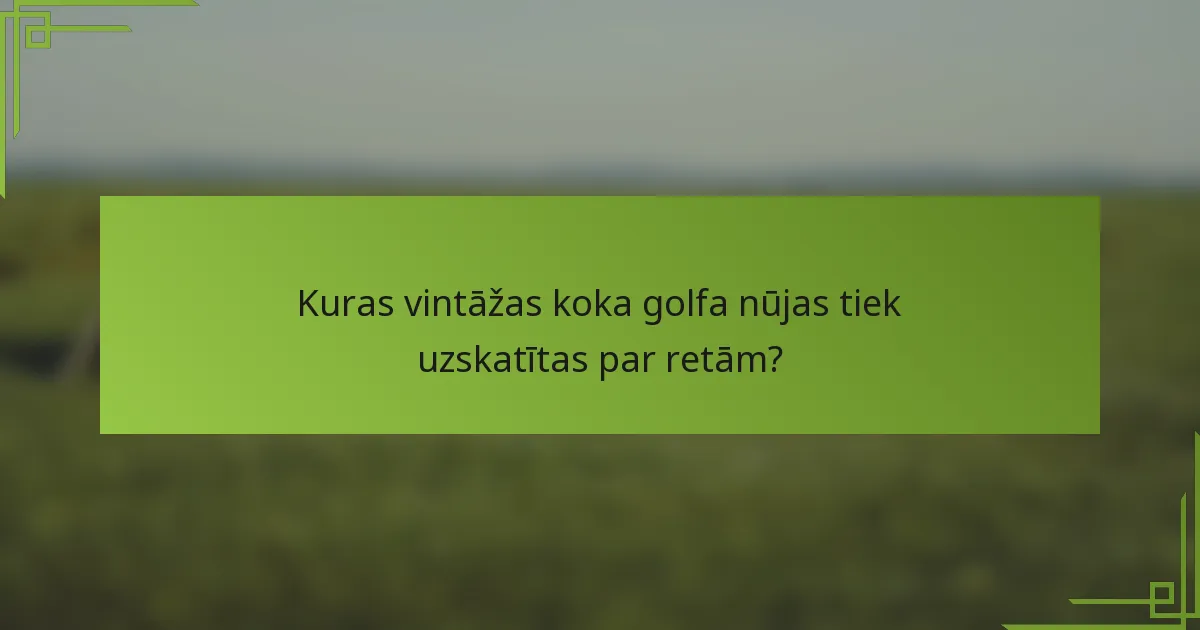Kuras vintāžas koka golfa nūjas tiek uzskatītas par retām?