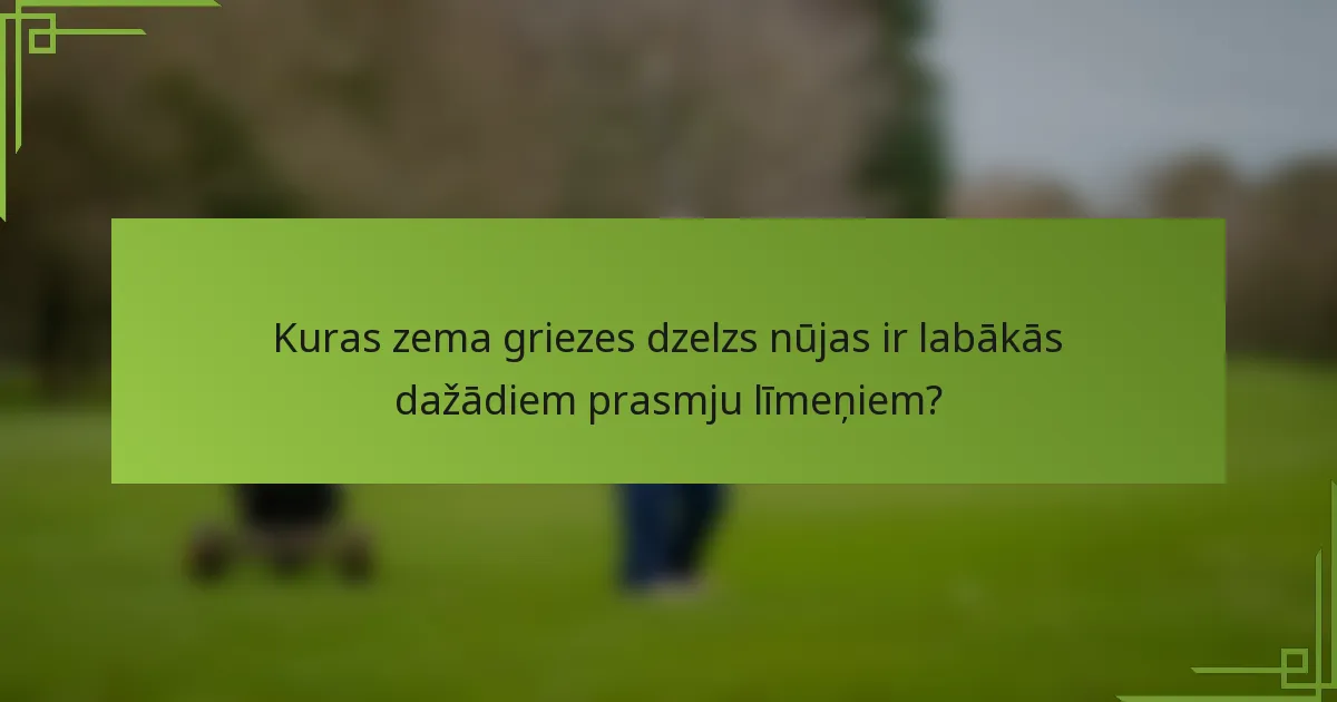Kuras zema griezes dzelzs nūjas ir labākās dažādiem prasmju līmeņiem?