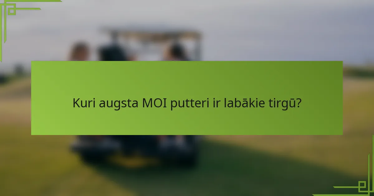Kuri augsta MOI putteri ir labākie tirgū?
