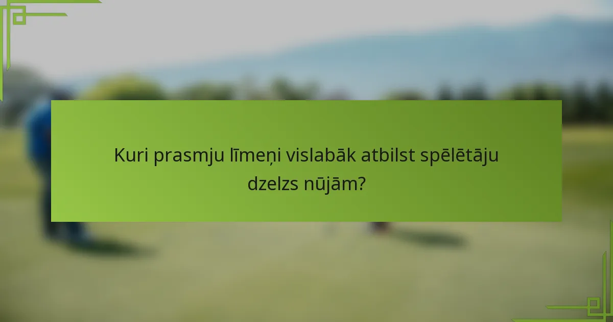 Kuri prasmju līmeņi vislabāk atbilst spēlētāju dzelzs nūjām?