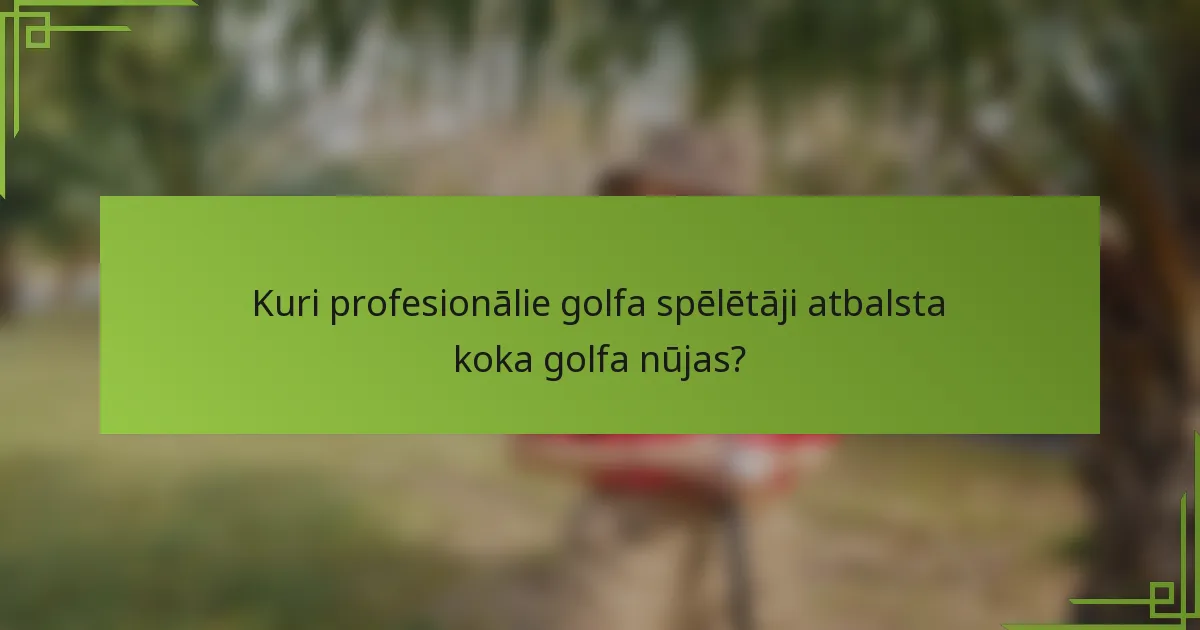 Kuri profesionālie golfa spēlētāji atbalsta koka golfa nūjas?