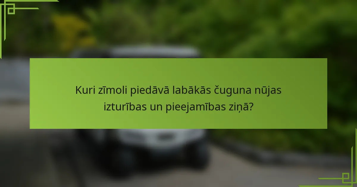 Kuri zīmoli piedāvā labākās čuguna nūjas izturības un pieejamības ziņā?