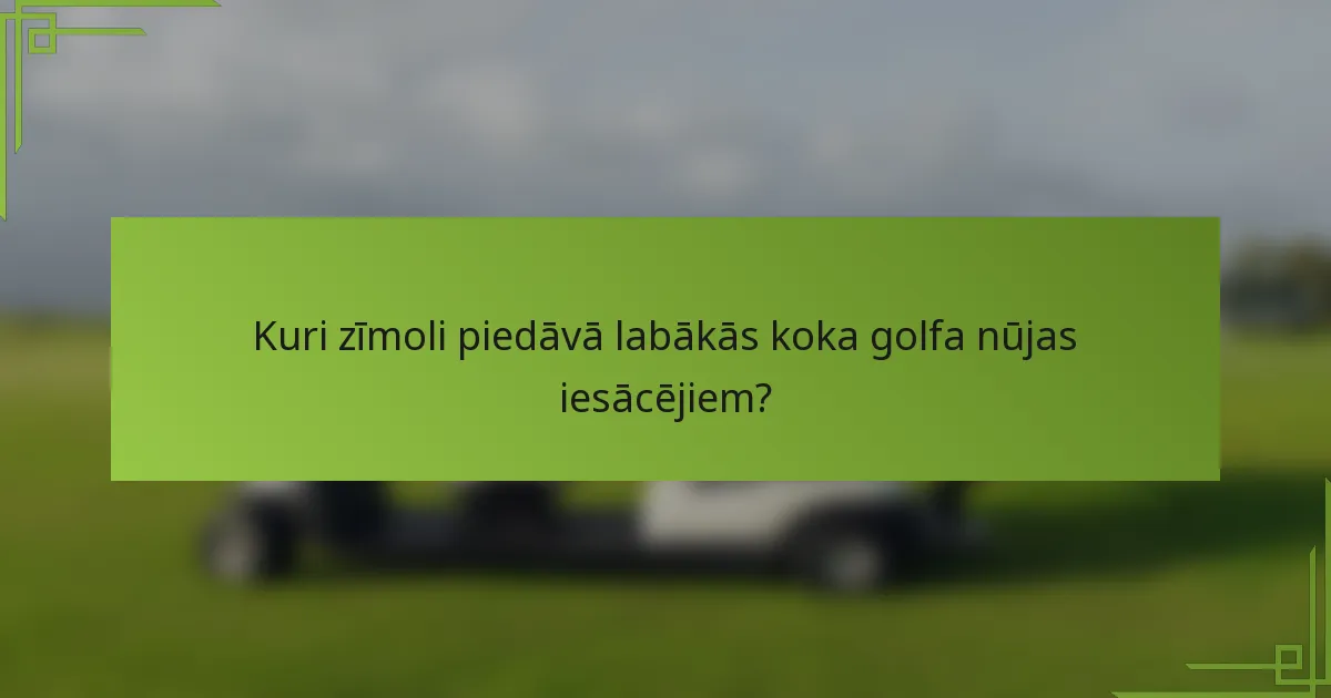 Kuri zīmoli piedāvā labākās koka golfa nūjas iesācējiem?